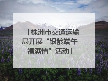 株洲市交通运输局开展“银龄端午福满情”活动