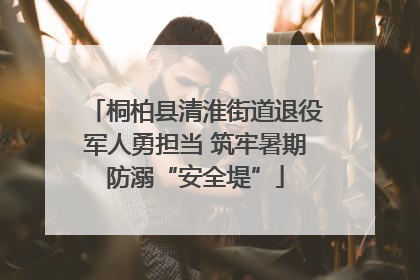 桐柏县清淮街道退役军人勇担当 筑牢暑期防溺“安全堤”