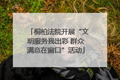 桐柏法院开展“文明服务我出彩 群众满意在窗口”活动