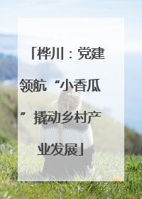 桦川：党建领航“小香瓜”撬动乡村产业发展