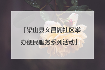 梁山县文昌阁社区举办便民服务系列活动