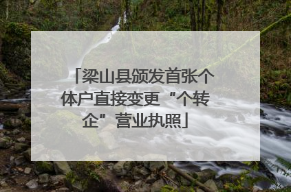 梁山县颁发首张个体户直接变更“个转企”营业执照