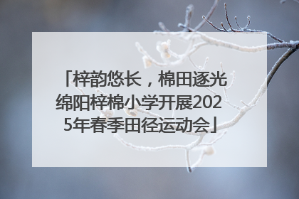 梓韵悠长，棉田逐光 绵阳梓棉小学开展2025年春季田径运动会