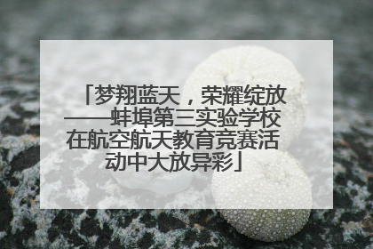 梦翔蓝天，荣耀绽放——蚌埠第三实验学校在航空航天教育竞赛活动中大放异彩