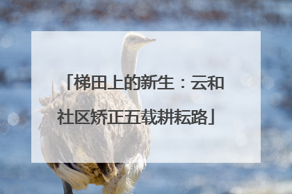 梯田上的新生：云和社区矫正五载耕耘路