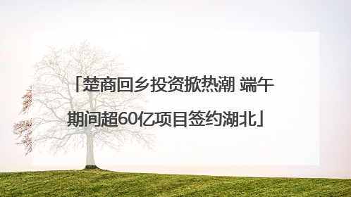 楚商回乡投资掀热潮 端午期间超60亿项目签约湖北