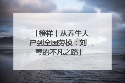 榜样｜从养牛大户到全国劳模：刘琴的不凡之路
