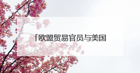 欧盟贸易官员与美国贸易代表举行会谈