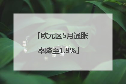 欧元区5月通胀率降至1.9%