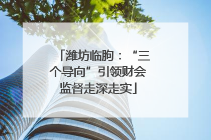 潍坊临朐：“三个导向”引领财会监督走深走实