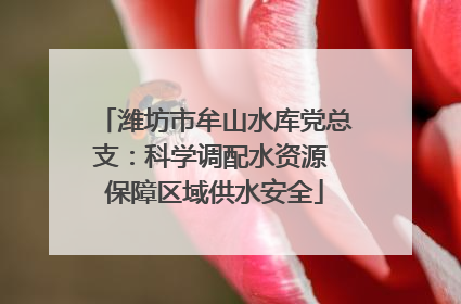 潍坊市牟山水库党总支：科学调配水资源 保障区域供水安全