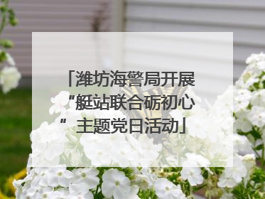 潍坊海警局开展“艇站联合砺初心”主题党日活动