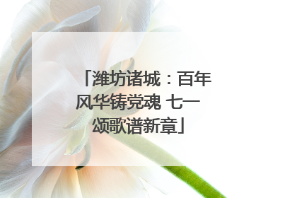 潍坊诸城：百年风华铸党魂 七一颂歌谱新章