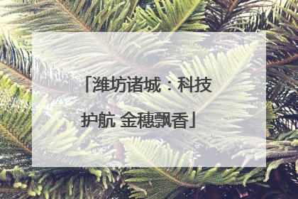 潍坊诸城：科技护航 金穗飘香