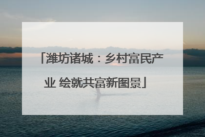 潍坊诸城：乡村富民产业 绘就共富新图景