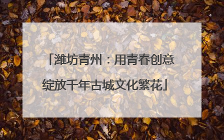 潍坊青州：用青春创意绽放千年古城文化繁花