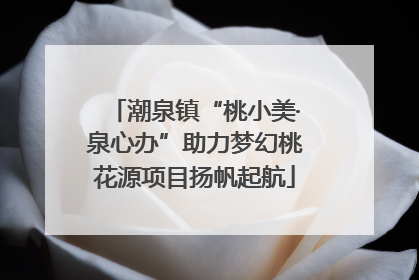 潮泉镇“桃小美·泉心办”助力梦幻桃花源项目扬帆起航