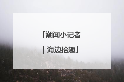 潮闻小记者｜海边拾趣