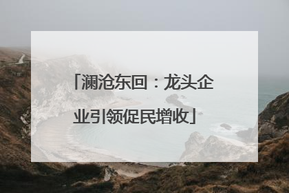 澜沧东回：龙头企业引领促民增收