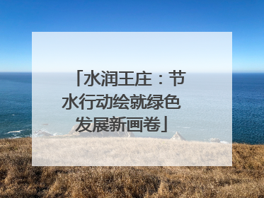 水润王庄：节水行动绘就绿色发展新画卷