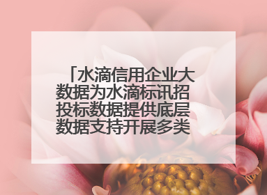 水滴信用企业大数据为水滴标讯招投标数据提供底层数据支持开展多类型服务