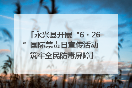 永兴县开展“6・26”国际禁毒日宣传活动 筑牢全民防毒屏障
