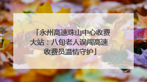永州高速珠山中心收费大站：八旬老人误闯高速 收费员温情守护