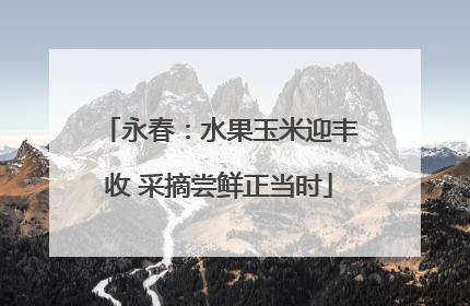 永春：水果玉米迎丰收 采摘尝鲜正当时