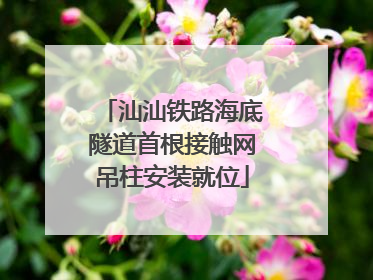 汕汕铁路海底隧道首根接触网吊柱安装就位
