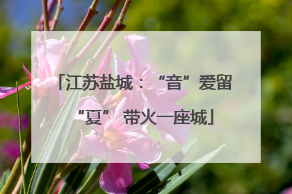 江苏盐城：“音”爱留“夏” 带火一座城