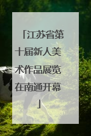 江苏省第十届新人美术作品展览在南通开幕