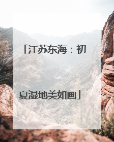 江苏东海：初夏湿地美如画