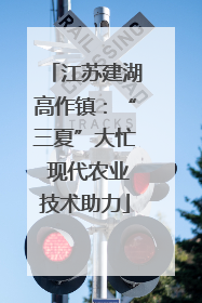 江苏建湖高作镇：“三夏”大忙 现代农业技术助力