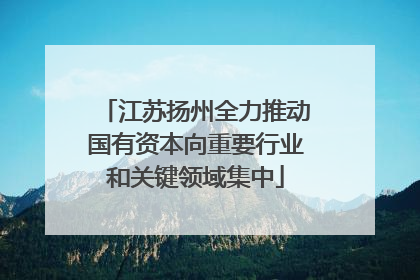 江苏扬州全力推动国有资本向重要行业和关键领域集中