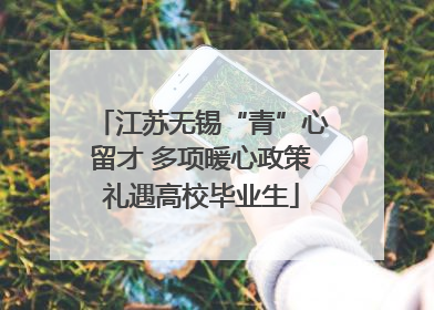 江苏无锡“青”心留才 多项暖心政策礼遇高校毕业生