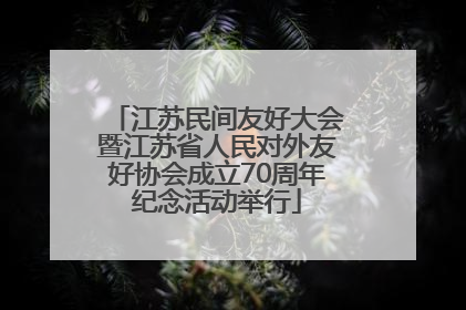 江苏民间友好大会暨江苏省人民对外友好协会成立70周年纪念活动举行
