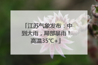 江苏气象发布：中到大雨，局部暴雨！高温35℃+