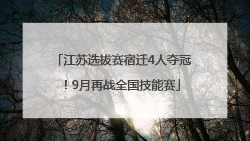 江苏选拔赛宿迁4人夺冠！9月再战全国技能赛