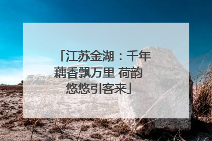 江苏金湖：千年藕香飘万里 荷韵悠悠引客来