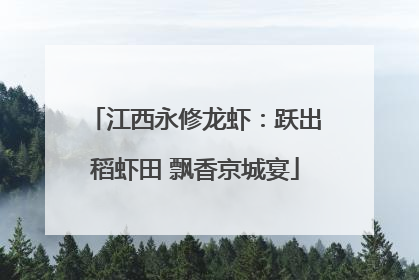 江西永修龙虾：跃出稻虾田 飘香京城宴