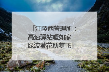 江陵西管理所：高速驿站暖如家 绿波葵花助梦飞