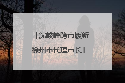 沈峻峰跨市履新徐州市代理市长