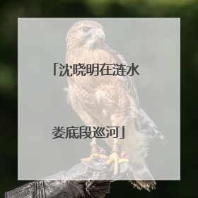 沈晓明在涟水娄底段巡河