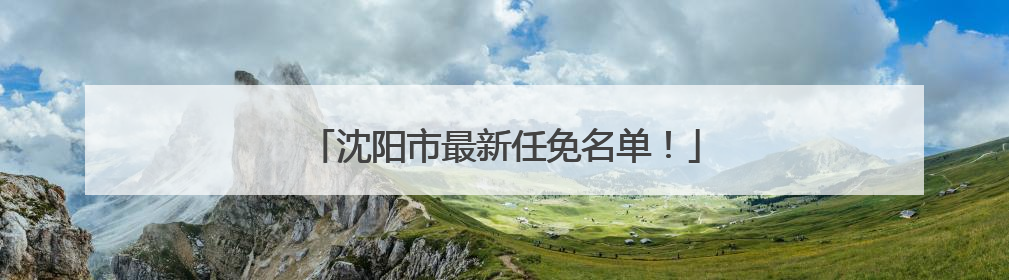 沈阳市最新任免名单！