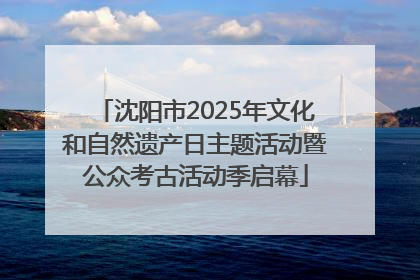 沈阳市2025年文化和自然遗产日主题活动暨公众考古活动季启幕