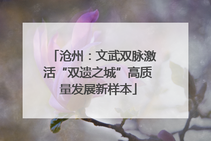 沧州：文武双脉激活“双遗之城”高质量发展新样本