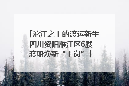沱江之上的渡运新生 四川资阳雁江区6艘渡船焕新“上岗”