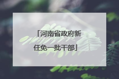 河南省政府新任免一批干部
