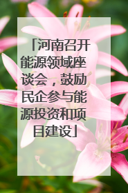 河南召开能源领域座谈会，鼓励民企参与能源投资和项目建设