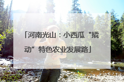 河南光山：小西瓜“撬动”特色农业发展路